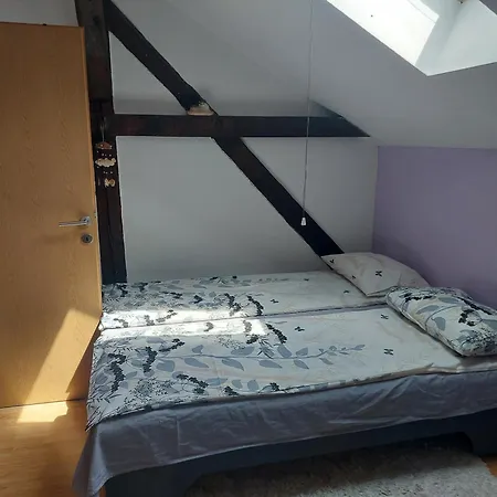 Private In Aparthmanely * Sarajevo